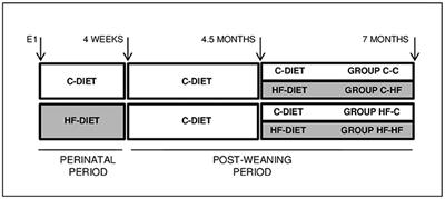 miRNA Long-Term Response to Early Metabolic Environmental Challenge in Hypothalamic Arcuate Nucleus